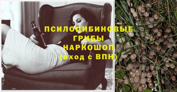 сатива Белоозёрский