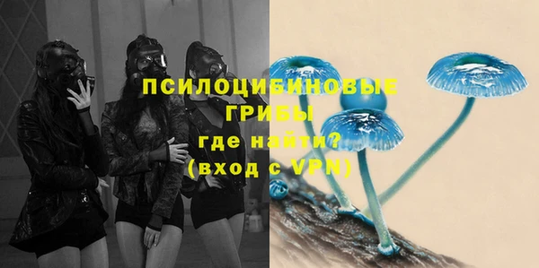 сатива Белоозёрский