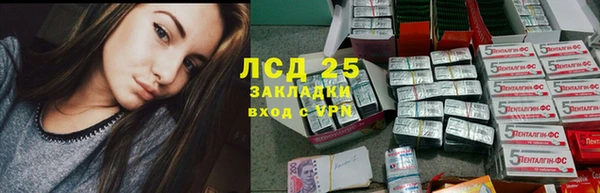 сатива Белоозёрский