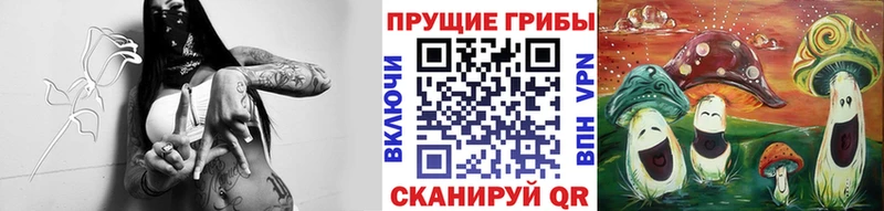 закладка  blacksprut рабочий сайт  Псилоцибиновые грибы Magic Shrooms  Волоколамск 